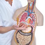 Informatieavond over behandeling van maag- en slokdarmkanker