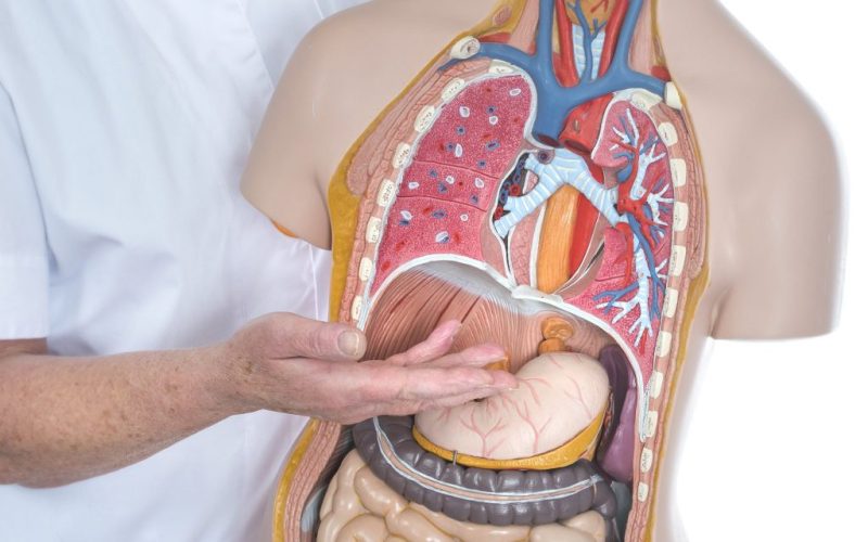 Informatieavond over behandeling van maag- en slokdarmkanker